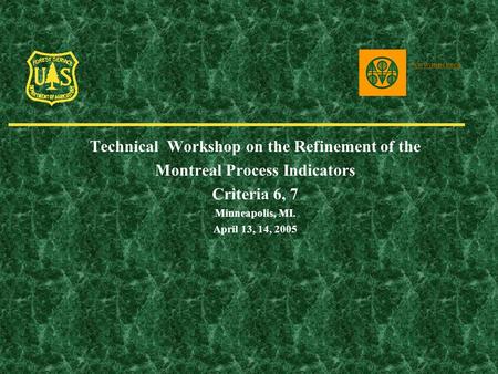 Technical Workshop on the Refinement of the Montreal Process Indicators Criteria 6, 7 Minneapolis, MI. April 13, 14, 2005 www.mpci.org.