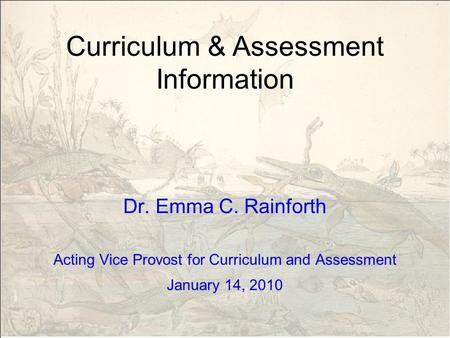 Curriculum & Assessment Information Dr. Emma C. Rainforth Acting Vice Provost for Curriculum and Assessment January 14, 2010.