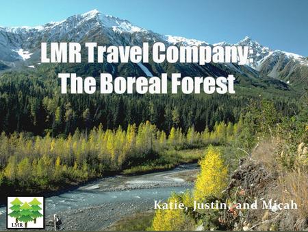 Katie, Justin, and Micah LMR. Soils in the boreal forest are typically podzols, gray soils that are thin, acidic, and poor in nutrients. The boreal.