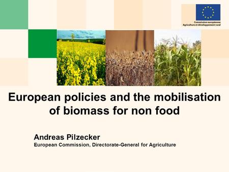 European policies and the mobilisation of biomass for non food Andreas Pilzecker European Commission, Directorate-General for Agriculture.