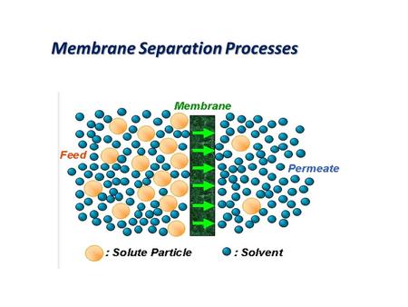 Membrane Separation Processes