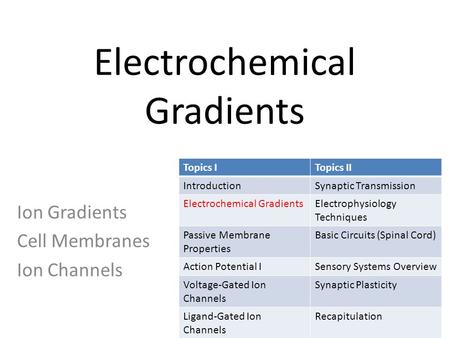 Electrochemical Gradients Ion Gradients Cell Membranes Ion Channels Topics ITopics II IntroductionSynaptic Transmission Electrochemical GradientsElectrophysiology.