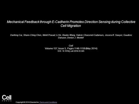 Mechanical Feedback through E-Cadherin Promotes Direction Sensing during Collective Cell Migration Danfeng Cai, Shann-Ching Chen, Mohit Prasad, Li He,