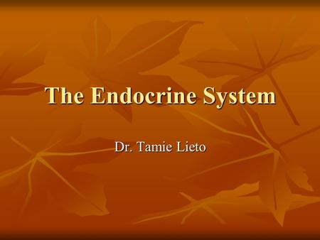 The Endocrine System Dr. Tamie Lieto.