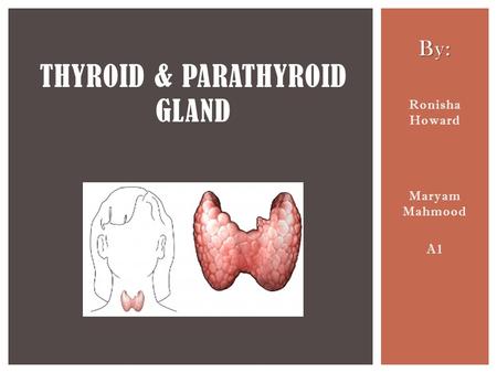 By: Ronisha Howard Maryam Mahmood A1 THYROID & PARATHYROID GLAND.