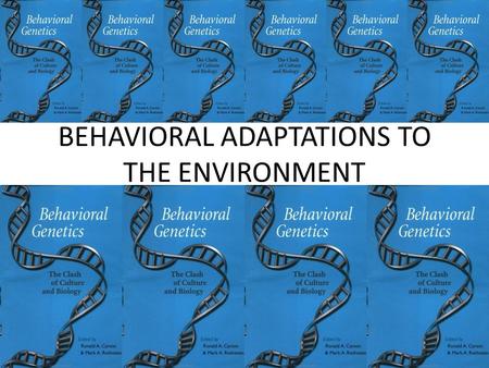 BEHAVIORAL ADAPTATIONS TO THE ENVIRONMENT