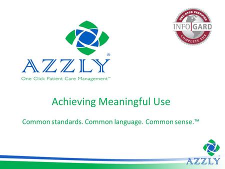 Achieving Meaningful Use Common standards. Common language. Common sense.™