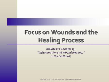 Focus on Wounds and the Healing Process