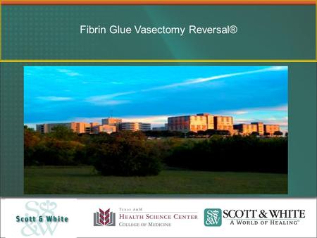 Fibrin Glue Vasectomy Reversal®. Who am I? Why am I here?