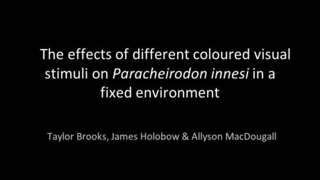 The effects of different coloured visual stimuli on Paracheirodon innesi in a fixed environment Taylor Brooks, James Holobow & Allyson MacDougall.