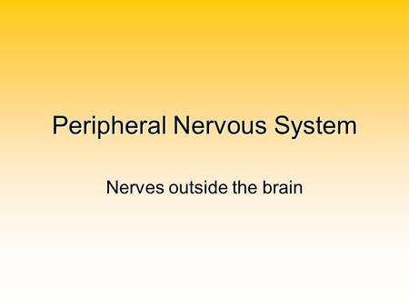 Peripheral Nervous System