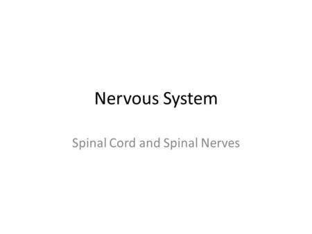 Nervous System Spinal Cord and Spinal Nerves. Spinal Cord: Cross Section (pg 444 Figure 13.3) Anterior Rootlets Anterior Root Spinal Root Posterior Root.