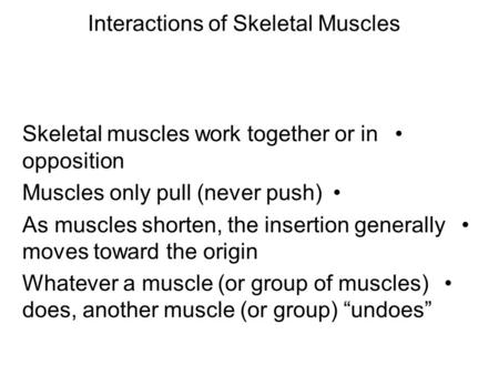 Interactions of Skeletal Muscles Skeletal muscles work together or in opposition Muscles only pull (never push) As muscles shorten, the insertion generally.