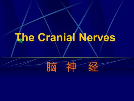 The Cranial Nerves 脑 神 经.