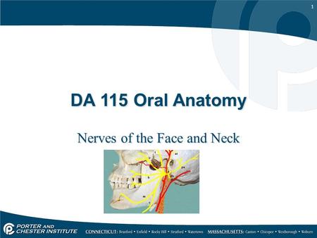 Nerves of the Face and Neck