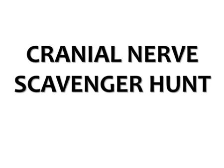 CRANIAL NERVE SCAVENGER HUNT