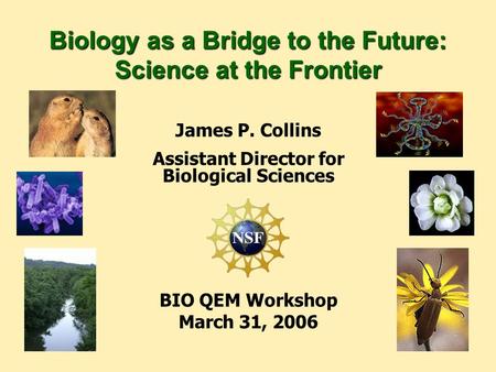 James P. Collins Assistant Director for Biological Sciences BIO QEM Workshop March 31, 2006 Biology as a Bridge to the Future: Science at the Frontier.