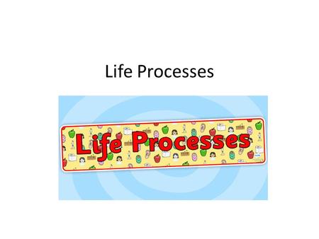 Life Processes. It’s A Green World For many typical green plants, there are anatomical structures that perform certain basic functions. For example, roots.