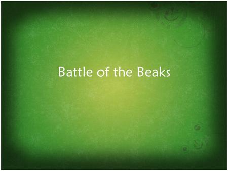 Battle of the Beaks. Battle of the Beaks 3/24/15 Key Question: Why do some species survive to reproduce while others do not? Initial Thoughts: