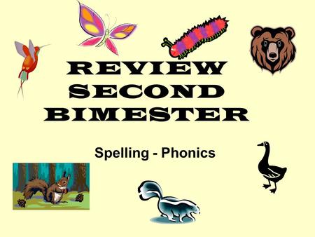 REVIEW SECOND BIMESTER