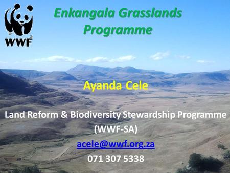 Enkangala Grasslands Programme Ayanda Cele Land Reform & Biodiversity Stewardship Programme (WWF-SA) 071 307 5338.