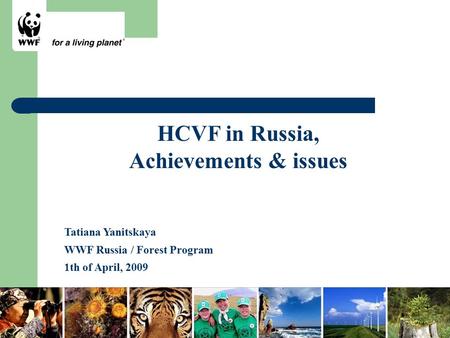 HCVF in Russia, Achievements & issues Tatiana Yanitskaya WWF Russia / Forest Program 1th of April, 2009.