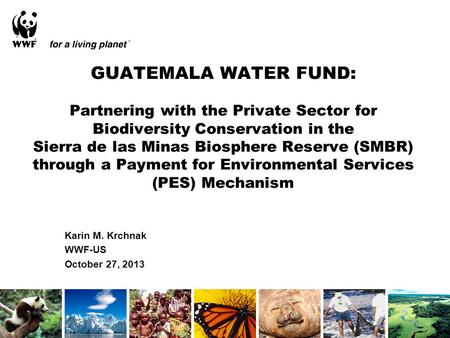 GUATEMALA WATER FUND: Partnering with the Private Sector for Biodiversity Conservation in the Sierra de las Minas Biosphere Reserve (SMBR) through a Payment.