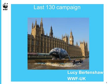 1 Picture Placeholder 1 Overview of the Last 130 campaign Lucy Bertenshaw WWF-UK.