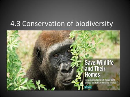 4.3 Conservation of biodiversity. Arguments for preserving species Ethical Aesthetic Genetic Resources Commercial Life Support/ecosystem support functions.