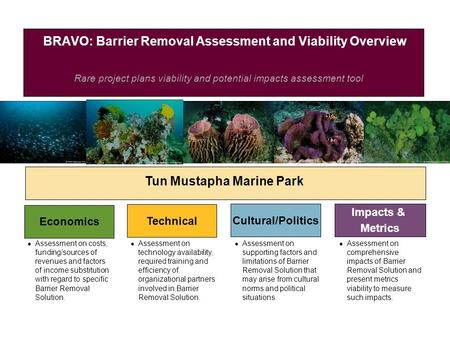 Rare project plans viability and potential impacts assessment tool BRAVO: Barrier Removal Assessment and Viability Overview Tun Mustapha Marine Park Economics.