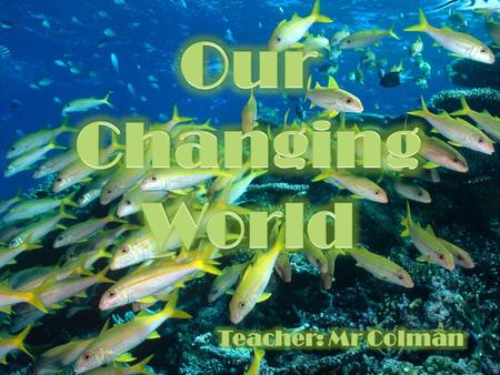 WHAT – describe the type of change that is occurring. WHERE – include more than one example (where possible) where climate change has had an impact. Describe.