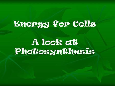 A look at Photosynthesis