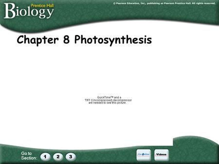 Chapter 8 Photosynthesis