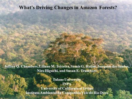 What’s Driving Changes in Amazon Forests? Jeffrey Q. Chambers, Liliane M. Teixeira, Samir G. Rolim, Joaquim dos Santos, Niro Higuchi, and Susan E. Trumbore.