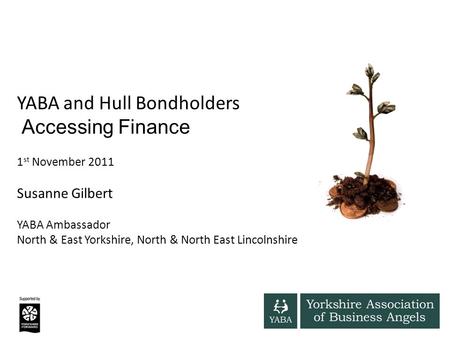 YABA and Hull Bondholders Accessing Finance 1 st November 2011 Susanne Gilbert YABA Ambassador North & East Yorkshire, North & North East Lincolnshire.