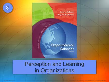 Perception and Learning in Organizations