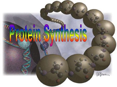 The genetic code is used as a blueprint to make proteins. We have looked at DNA. But how is this genetic code actually used for anything? Lets See! See!