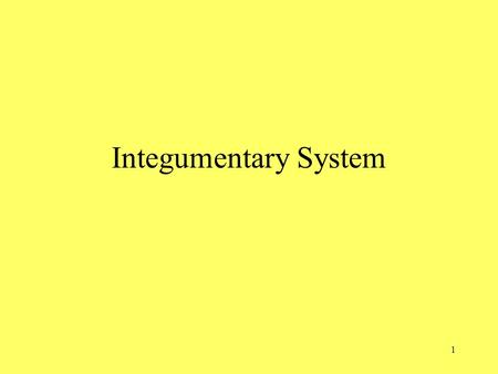 1 Integumentary System. 2 Composed of several tissues Maintains homeostasis Protective covering Retards water loss Regulates body temperature Houses sensory.