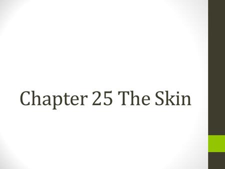 Chapter 25 The Skin. The Skin: More than a Mechanical Barrier Squamous epithelial cells Melanocytes Dendritic cells Lymphocytes Neural end organs and.