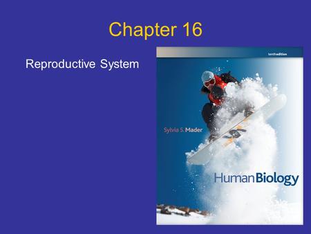 Chapter 16 Reproductive System.