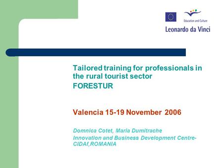 Tailored training for professionals in the rural tourist sector FORESTUR Valencia 15-19 November 2006 Domnica Cotet, Maria Dumitrache Innovation and Business.