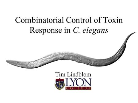 Combinatorial Control of Toxin Response in C. elegans