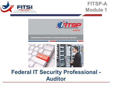 Federal IT Security Professional - Auditor