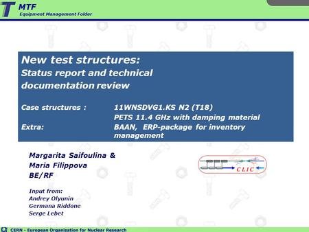 New test structures: Status report and technical documentation review