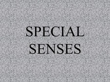 SPECIAL SENSES.