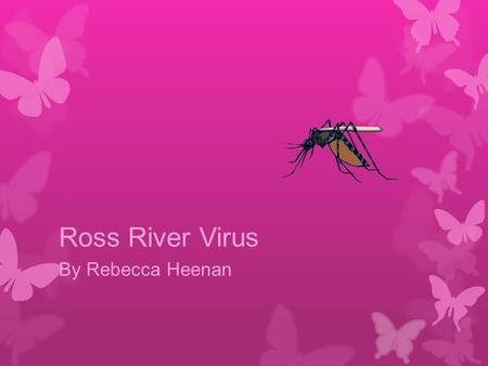 Ross River Virus By Rebecca Heenan. What is the Disease?  Ross River Virus (RRV) is a widespread mosquito-borne pathogen and is Australia’s most common.