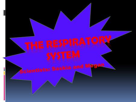 The Respiratory System