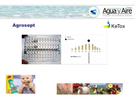 Agrosept. Effective but kind hand hygiene with unique long lasting effect Agrosept.