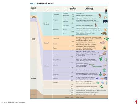 © 2014 Pearson Education, Inc. 1. Dimetrodon Coccosteus cuspidatus Stromatolites Tappania Tiktaalik Hallucigenia Dickinsonia costata 3,500 1,500 600 560.