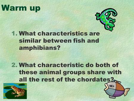 Warm up 1.What characteristics are similar between fish and amphibians? 2.What characteristic do both of these animal groups share with all the rest of.